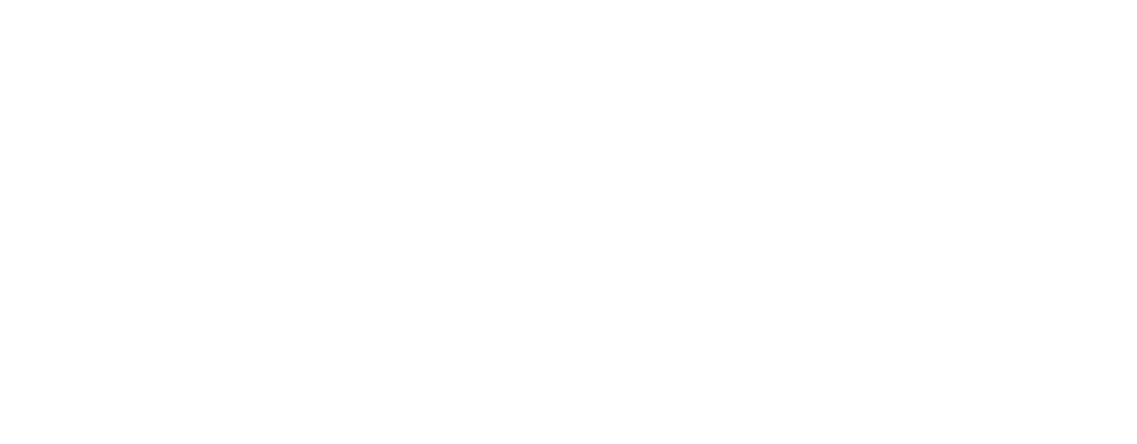 dgssd